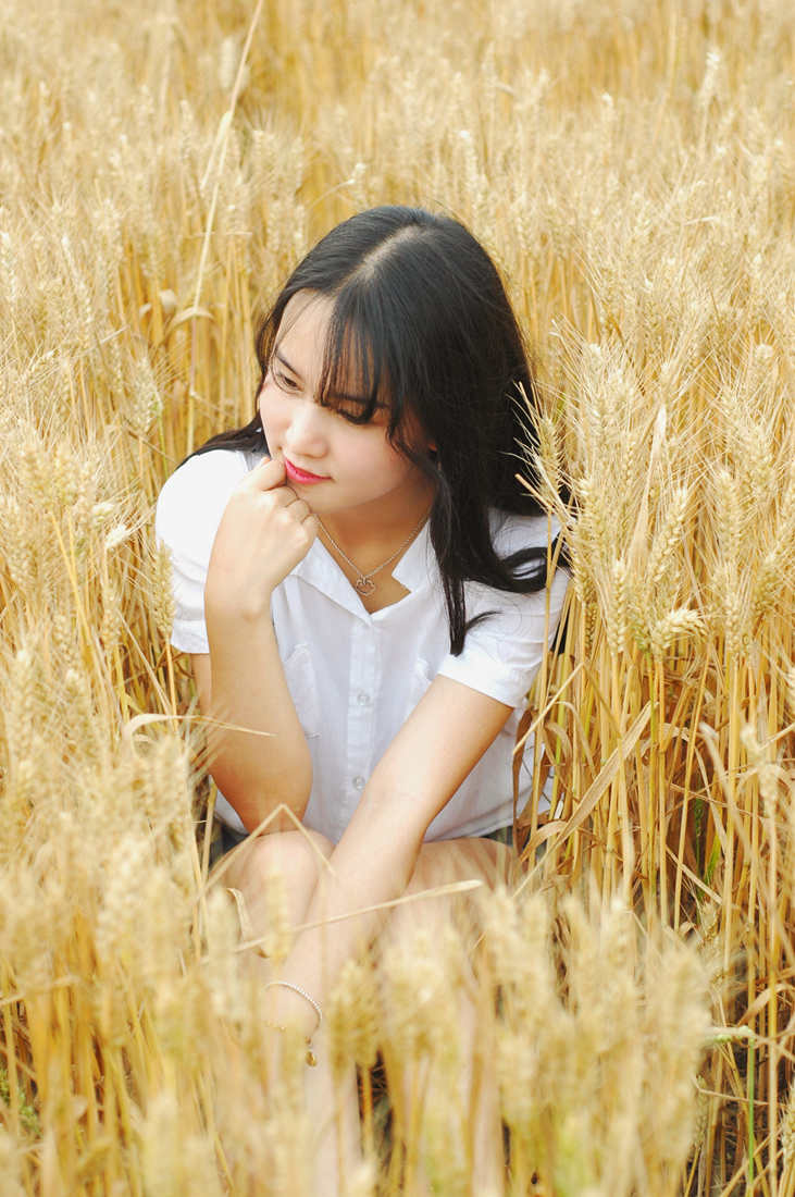 金黄的麦子等着被收获， 而我等着你